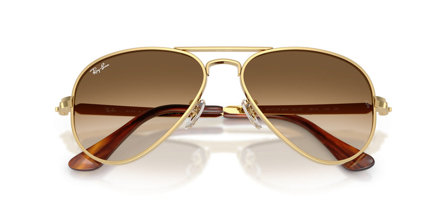 Metal Unisex Sunglass RB3925 – Gold / Clear Gradient Brown