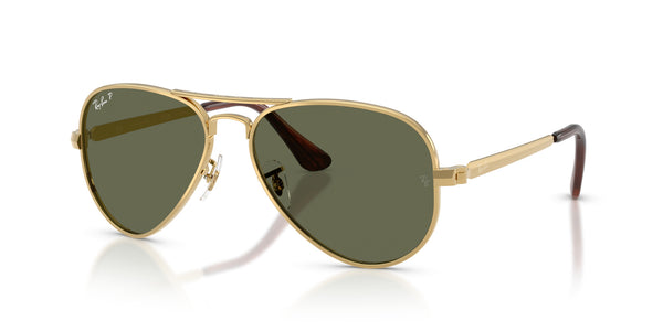Metal Unisex Sunglass RB3925 – Gold / Green Polar