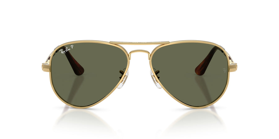 Metal Unisex Sunglass RB3925 – Gold / Green Polar