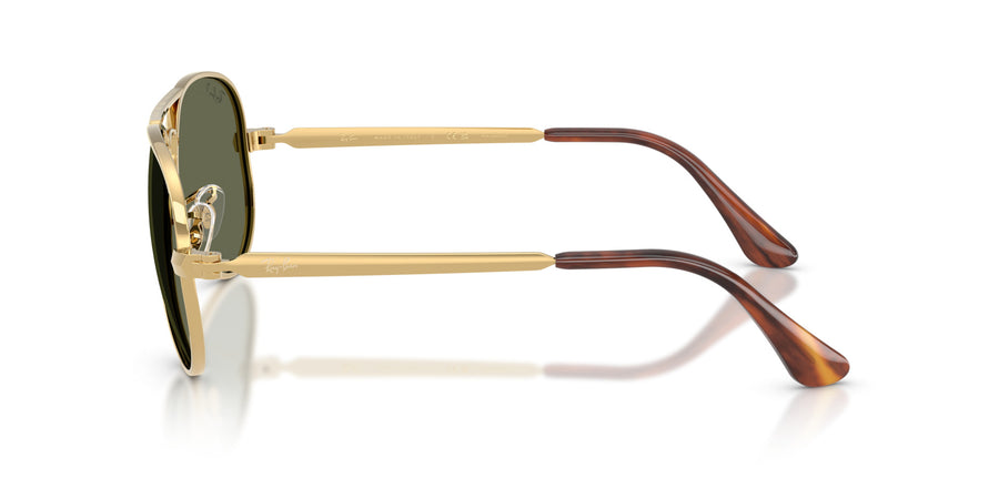 Metal Unisex Sunglass RB3925 – Gold / Green Polar