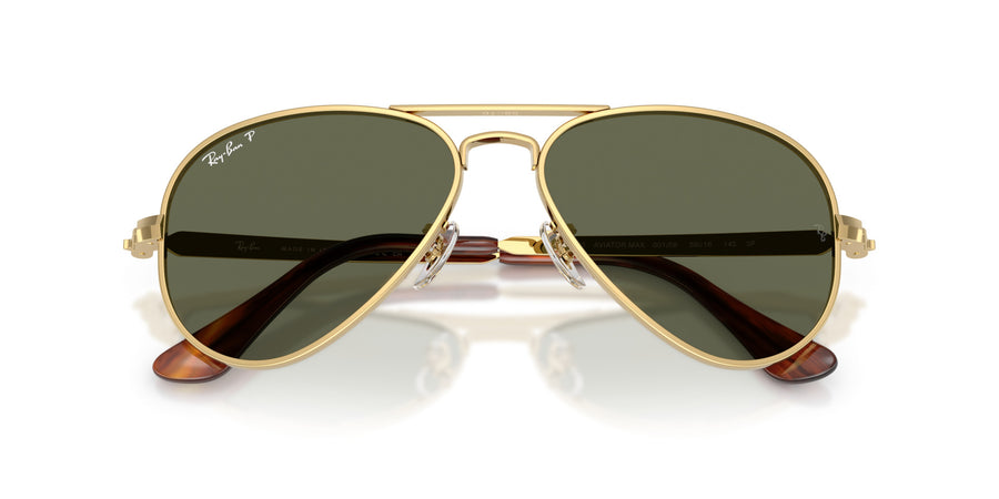 Metal Unisex Sunglass RB3925 – Gold / Green Polar