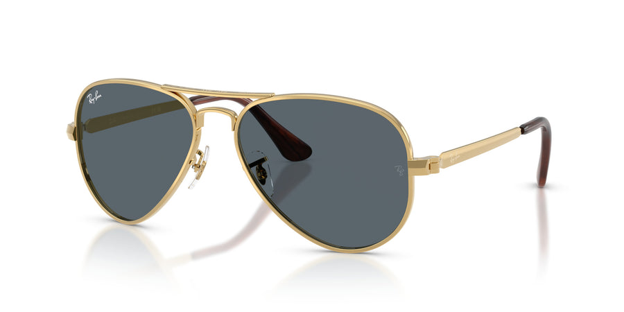 Metal Unisex Sunglass RB3925 – Gold / Blue
