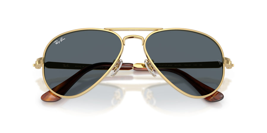 Metal Unisex Sunglass RB3925 – Gold / Blue