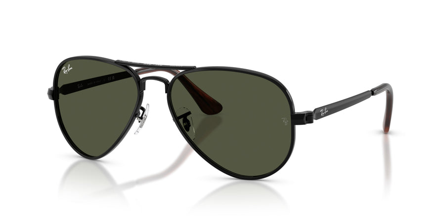 Metal Unisex Sunglass RB3925 – Black / Green