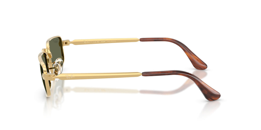 Metal Unisex Sunglass RB3927 – Gold / Polar Green