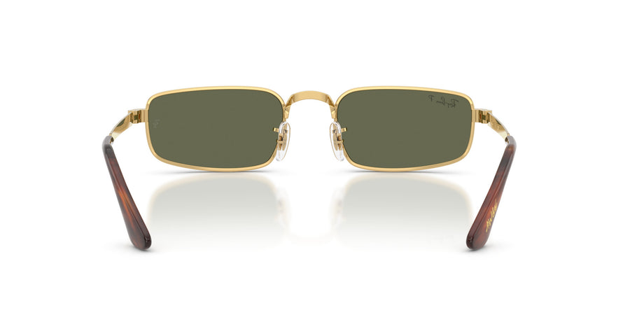 Metal Unisex Sunglass RB3927 – Gold / Polar Green
