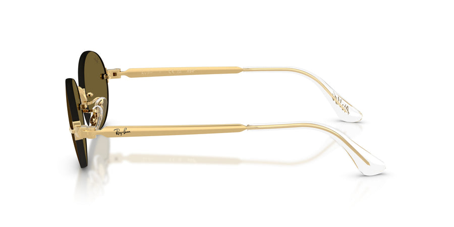 Metal Unisex Sunglass RB3929 – Gold / Dark Brown
