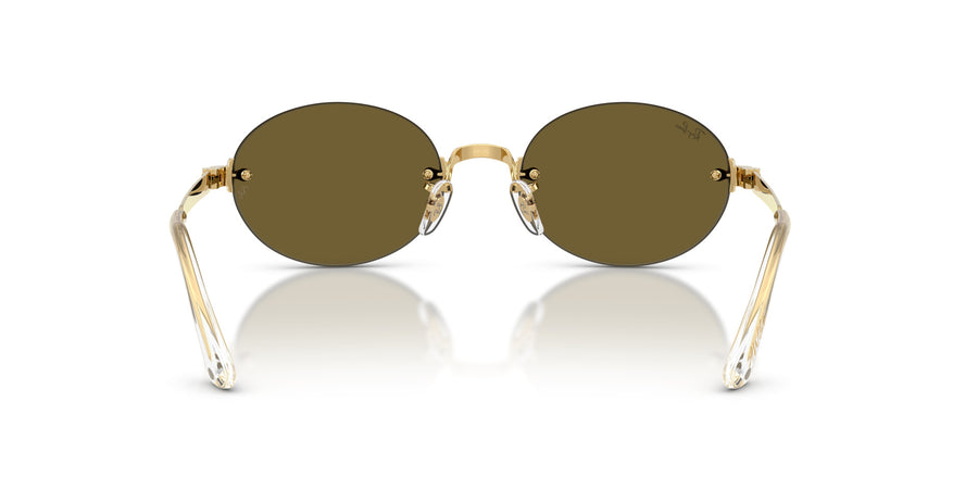 Metal Unisex Sunglass RB3929 – Gold / Dark Brown