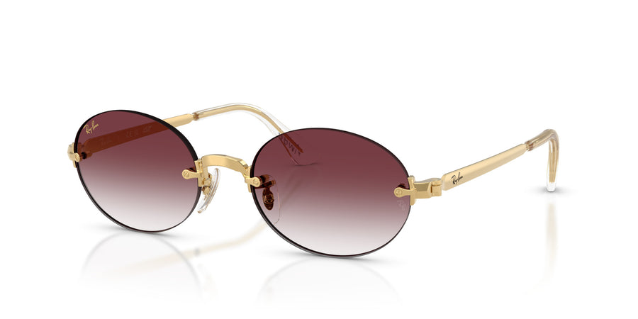 Metal Unisex Sunglass RB3929 – Gold / Clear Gradient Dark Viole