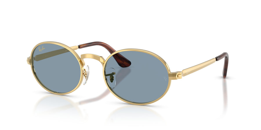 Metal Unisex Sunglass RB3931 – Gold / Blue