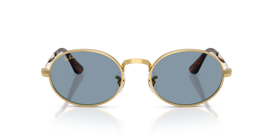 Metal Unisex Sunglass RB3931 – Gold / Blue