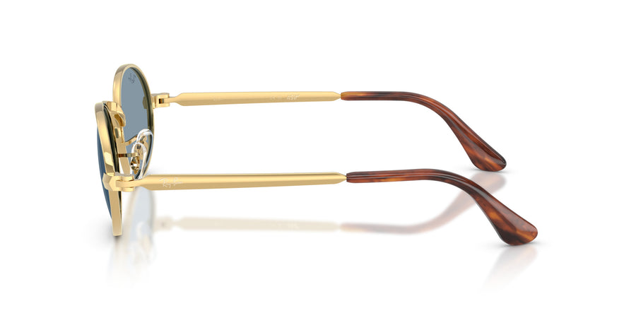 Metal Unisex Sunglass RB3931 – Gold / Blue