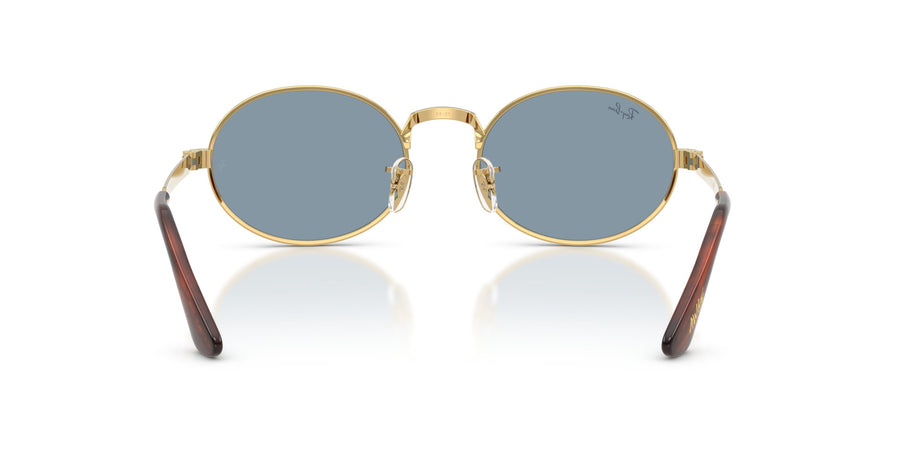 Metal Unisex Sunglass RB3931 – Gold / Blue