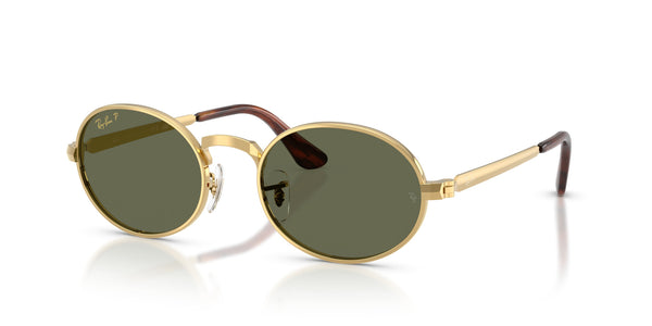 Metal Unisex Sunglass RB3931 – Gold / Polar Green