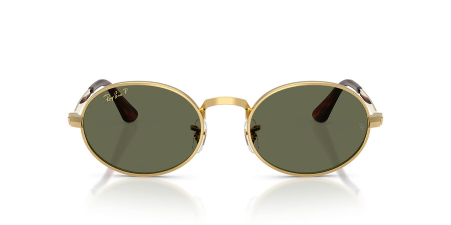 Metal Unisex Sunglass RB3931 – Gold / Polar Green