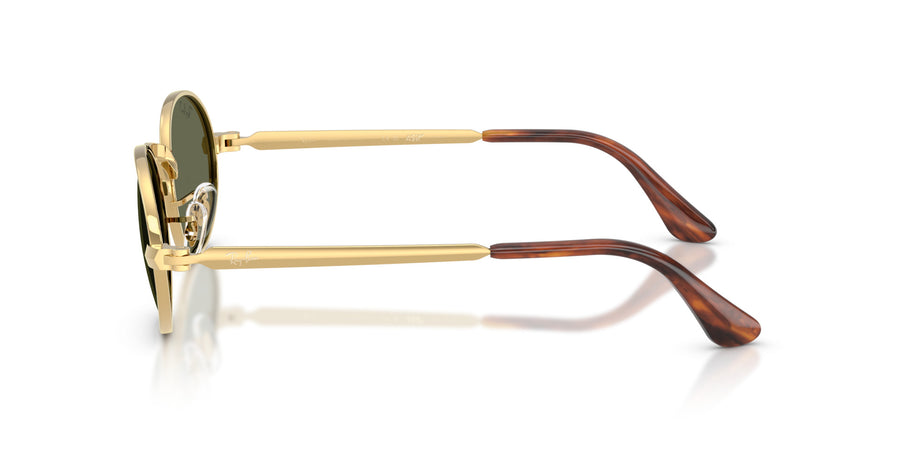 Metal Unisex Sunglass RB3931 – Gold / Polar Green