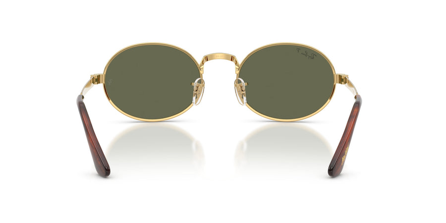 Metal Unisex Sunglass RB3931 – Gold / Polar Green