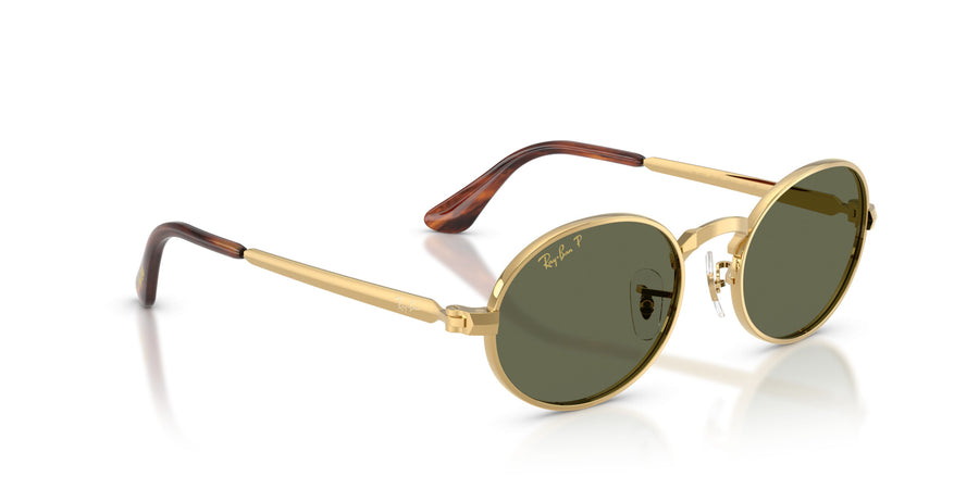 Metal Unisex Sunglass RB3931 – Gold / Polar Green