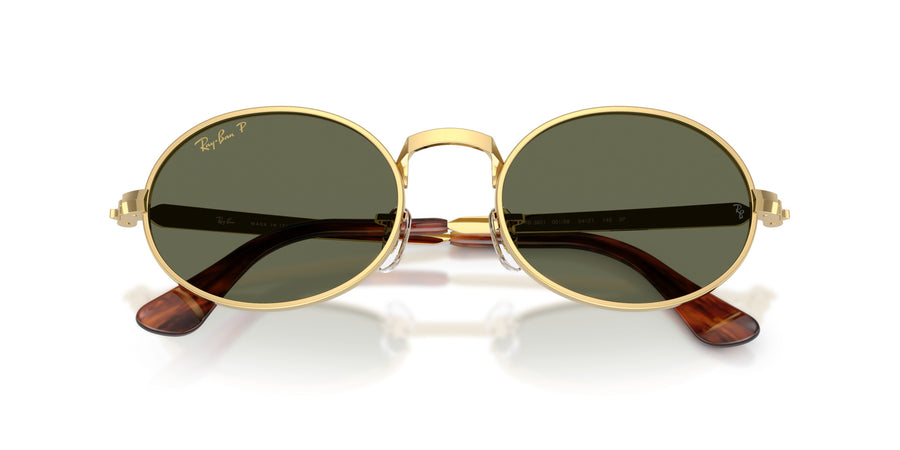 Metal Unisex Sunglass RB3931 – Gold / Polar Green