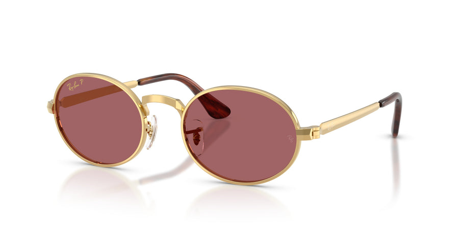 Metal Unisex Sunglass RB3931 – Gold / Polar Purple