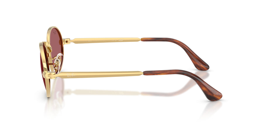 Metal Unisex Sunglass RB3931 – Gold / Polar Purple