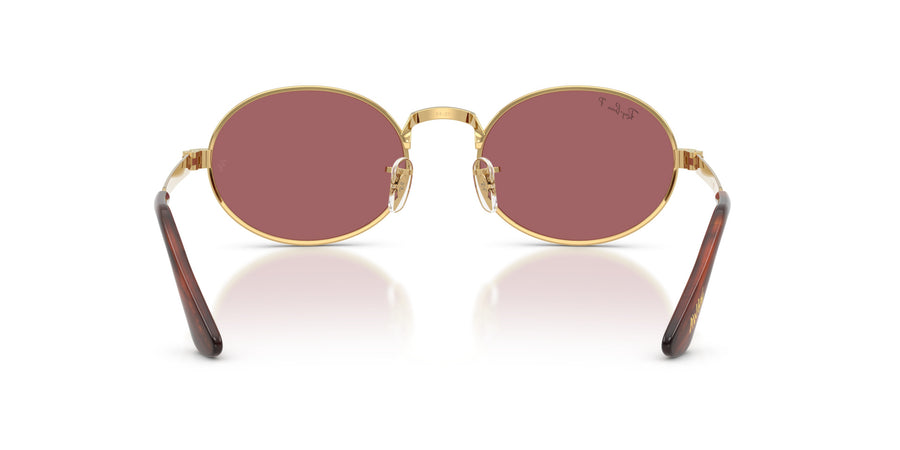 Metal Unisex Sunglass RB3931 – Gold / Polar Purple