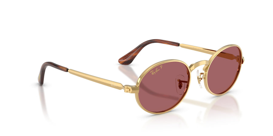 Metal Unisex Sunglass RB3931 – Gold / Polar Purple