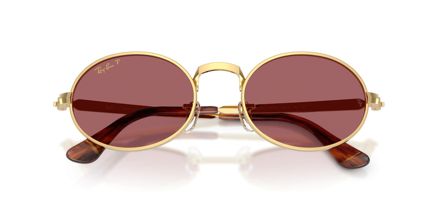 Metal Unisex Sunglass RB3931 – Gold / Polar Purple