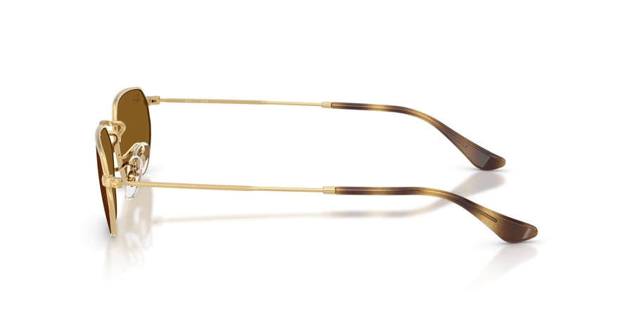 Metal Unisex Sunglass RB3947 – Gold / Brown