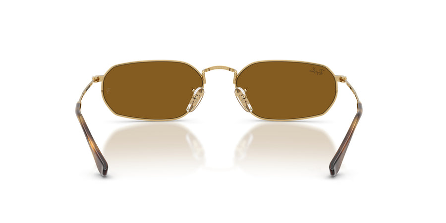 Metal Unisex Sunglass RB3947 – Gold / Brown