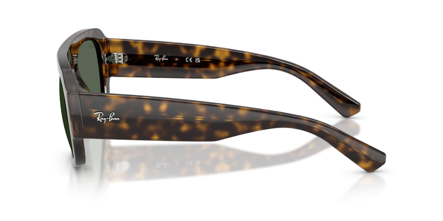 Molded Acetate Unisex Sun RB2218 – Havana / Green
