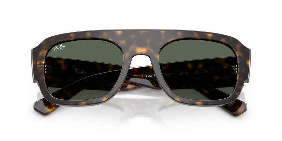 Molded Acetate Unisex Sun RB2218 – Havana / Green