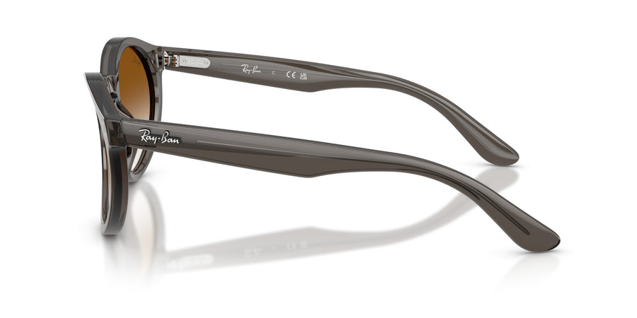 Molded Acetate Unisex Sun RBR0505S – Grey / Clear Gradient Brown