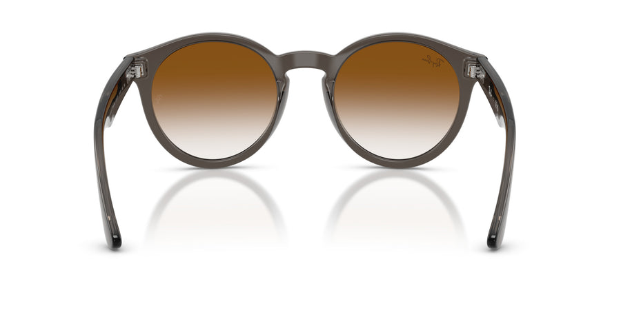 Molded Acetate Unisex Sun RBR0505S – Grey / Clear Gradient Brown