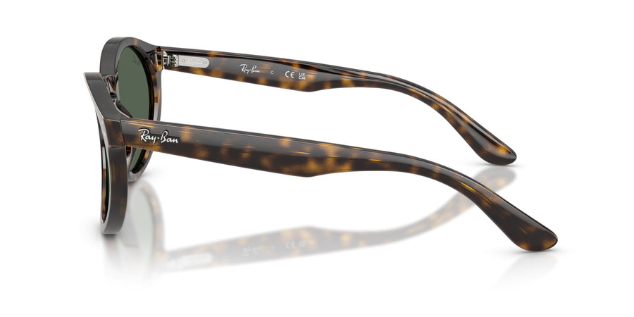 Molded Acetate Unisex Sun RBR0505S – Havana / Dark Green