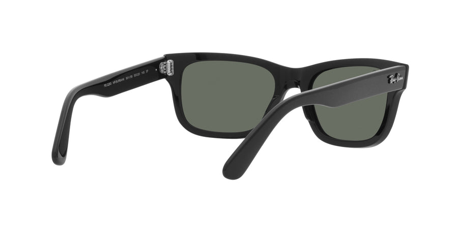 Mr Burbank RB2283 – Black / Polar Green