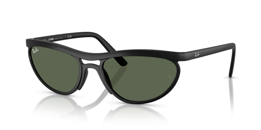 Peek Unisex Sunglass RB4453 – Black