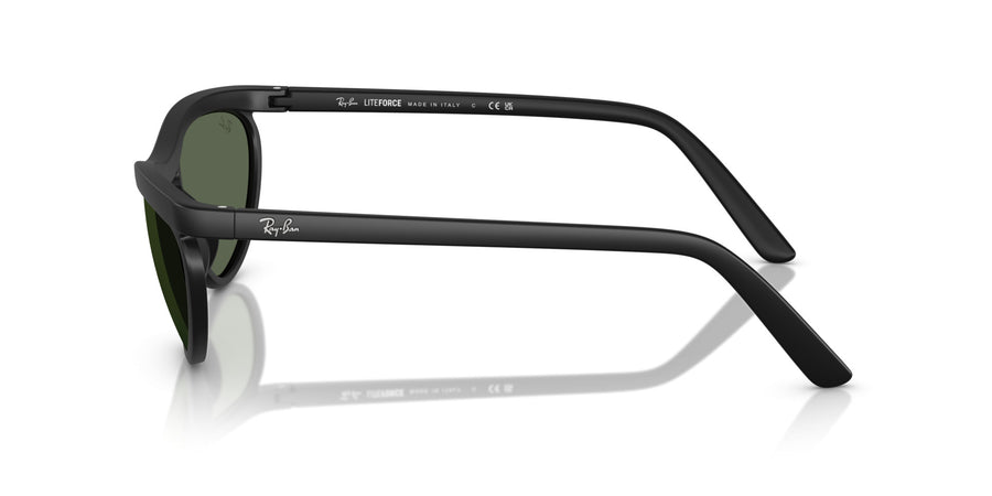 Peek Unisex Sunglass RB4453 – Black