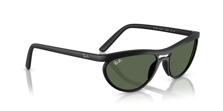 Peek Unisex Sunglass RB4453 – Black