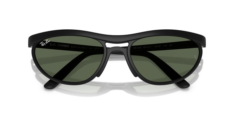 Peek Unisex Sunglass RB4453 – Black