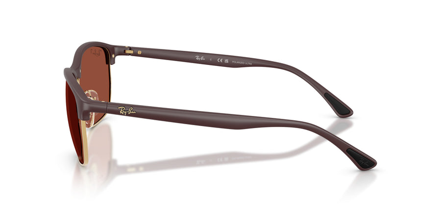 Peek Unisex Sunglass RB4469 – Violet / Polar Red