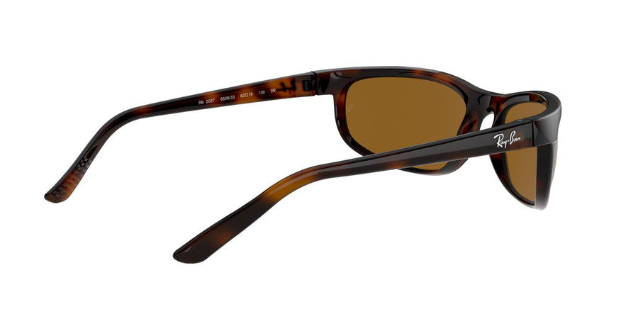 Predator 2 RB2027 – Tortoise / B-15 Brown
