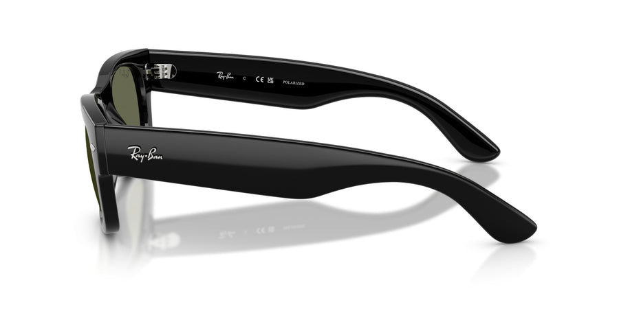 Propionate Unisex Sunglass RB0832S – Black / Green Plar