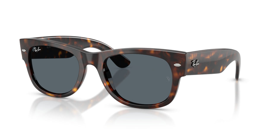 Propionate Unisex Sunglass RB0832S – Havana / Blue