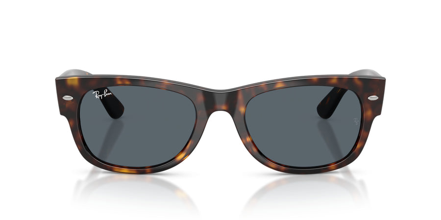 Propionate Unisex Sunglass RB0832S – Havana / Blue