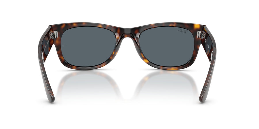 Propionate Unisex Sunglass RB0832S – Havana / Blue