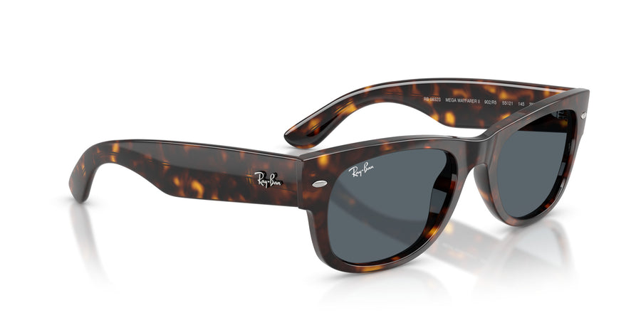 Propionate Unisex Sunglass RB0832S – Havana / Blue