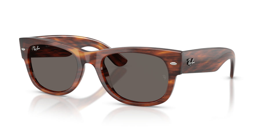 Propionate Unisex Sunglass RB0832S – Havana / Dark Grey