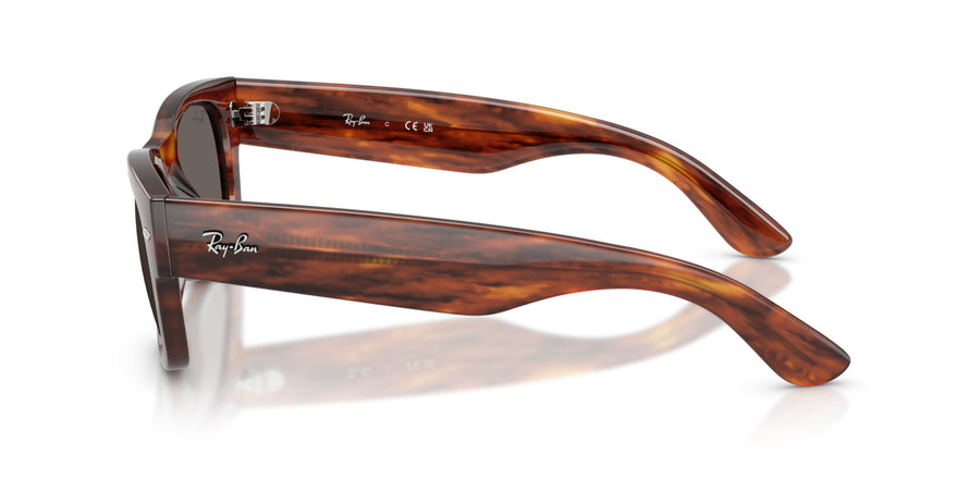 Propionate Unisex Sunglass RB0832S – Havana / Dark Grey