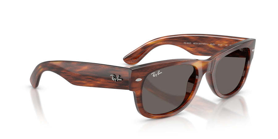 Propionate Unisex Sunglass RB0832S – Havana / Dark Grey